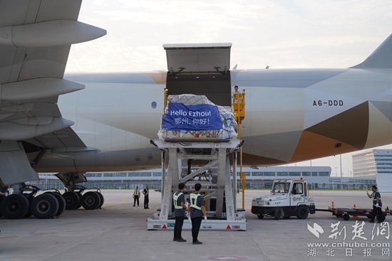 機(jī)務(wù)人員卸下貨物。金康 攝.jpeg