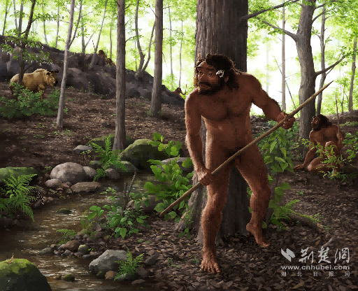 30dab040357f0ba8865bfd22fec2c11d_512X416_20250927170411